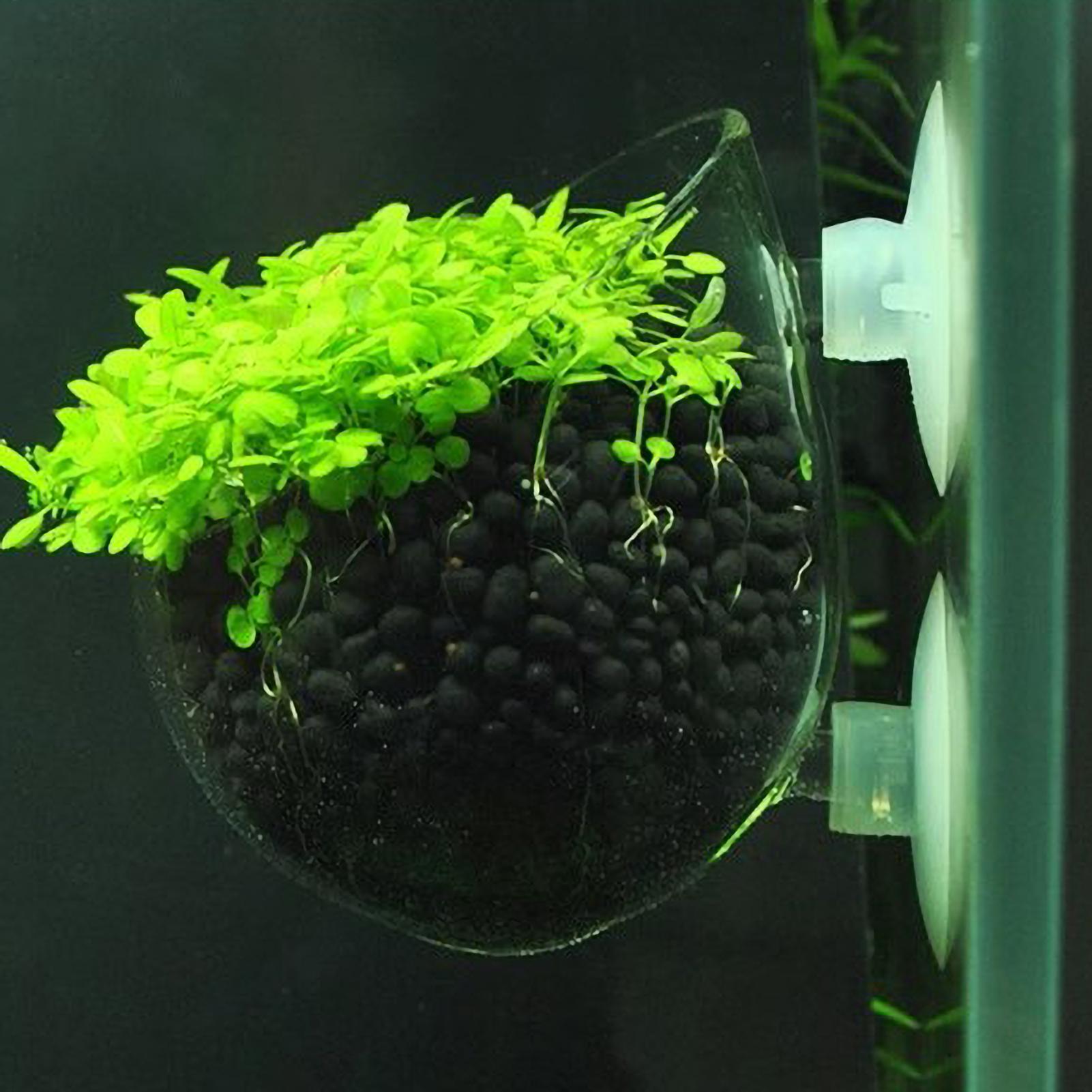 Planted Aquarium Aquascape - Держатель для аквариумных растений, стеклянный горшок