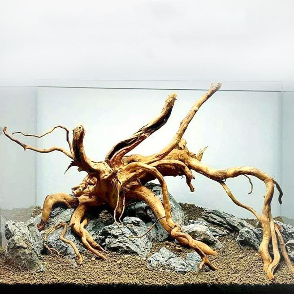 Planted Aquarium With Driftwood - Декоративный пней для аквариума 20-25 см,