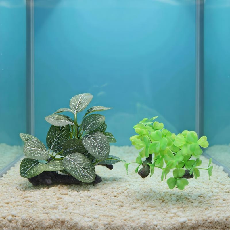 Искусственное корягиное растен – обзор и цена Planted Aquarium With Driftwood