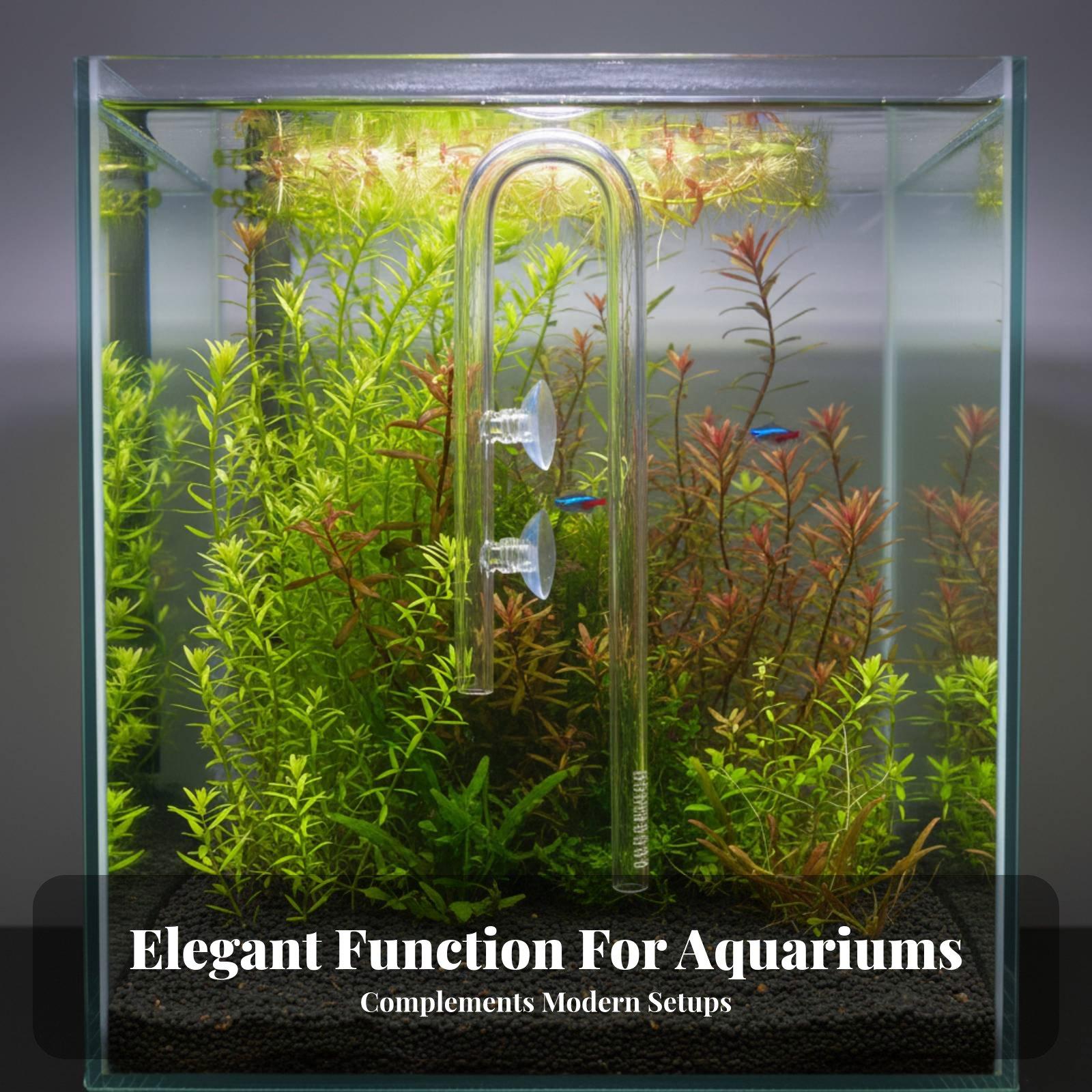 Элегантный стеклянный впускной – обзор и цена Aquarium Plant Nutrients