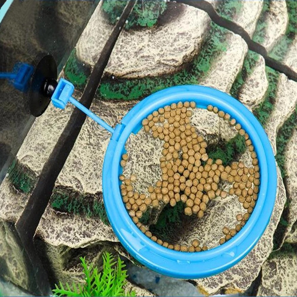 Новое кольцо для кормления акв – обзор и цена Aquarium Plant Nutrients