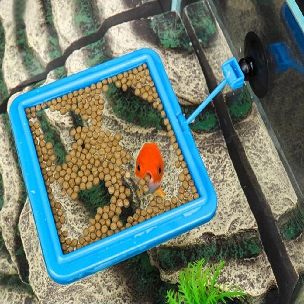 Новое кольцо для кормления акв – обзор и цена Aquarium Plant Nutrients