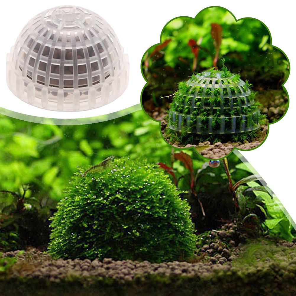 1 шт., держатели для шаров из  – обзор и цена Planted Aquarium Models