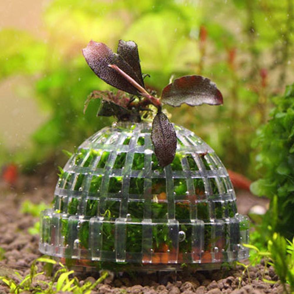 1 шт., держатели для шаров из  – обзор и цена Planted Aquarium Models