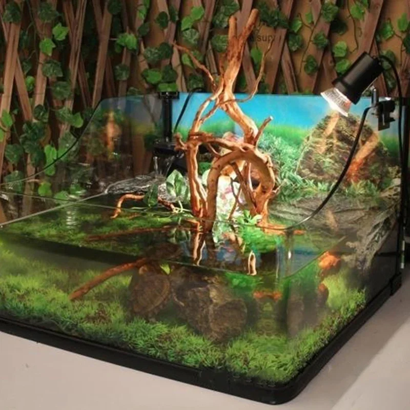 Натуральный ствол дерева Drift – обзор и цена Planted Aquarium With Driftwood