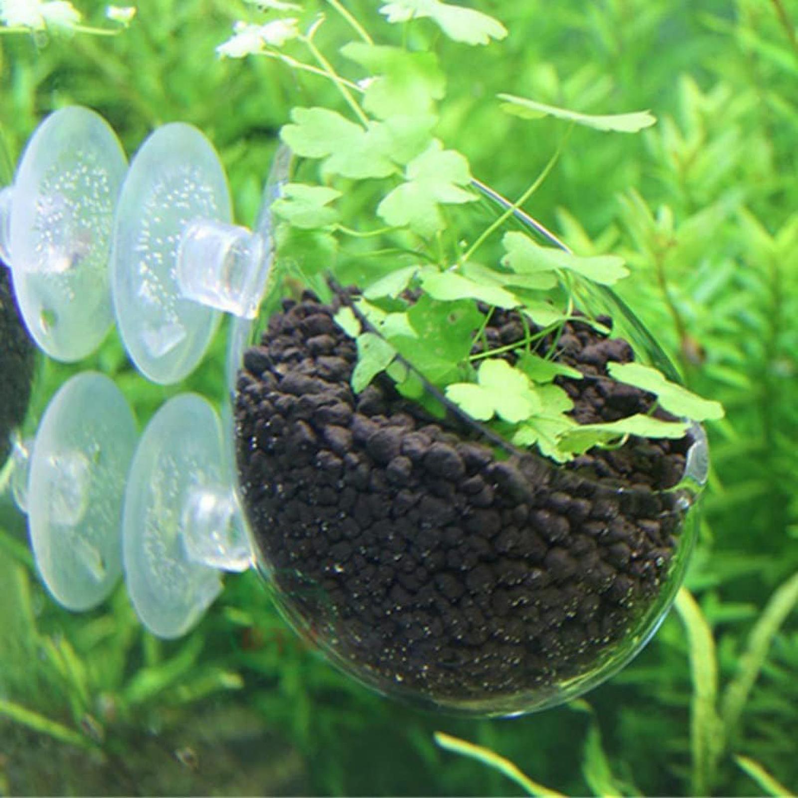 Держатель для аквариумных раст – обзор и цена Planted Aquarium Aquascape