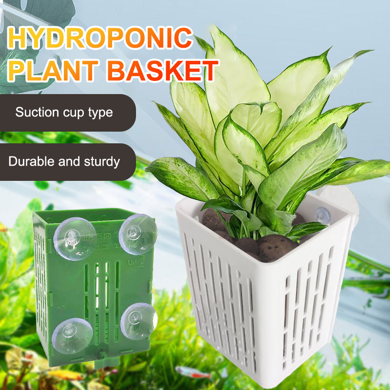 Подвесной крючок на присоске,  – обзор и цена Planted Aquarium Aquascape