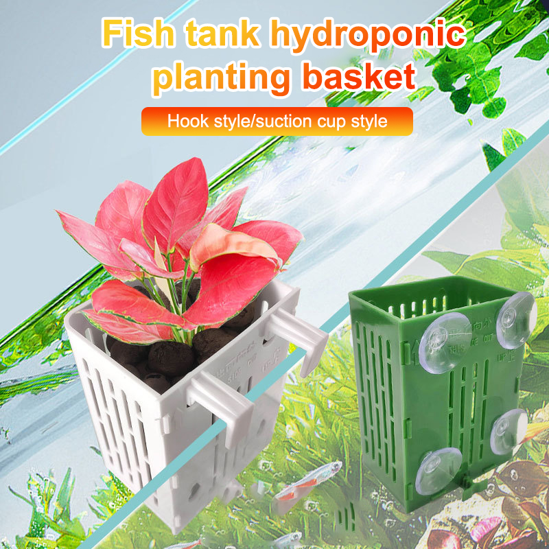 Подвесной крючок на присоске,  – обзор и цена Planted Aquarium Aquascape