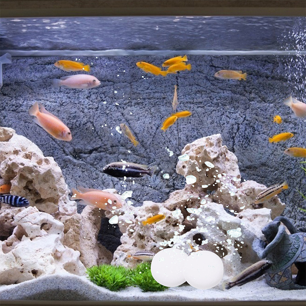 3 упаковки таблеток CO2: эффек – обзор и цена Aquarium Plant Nutrients