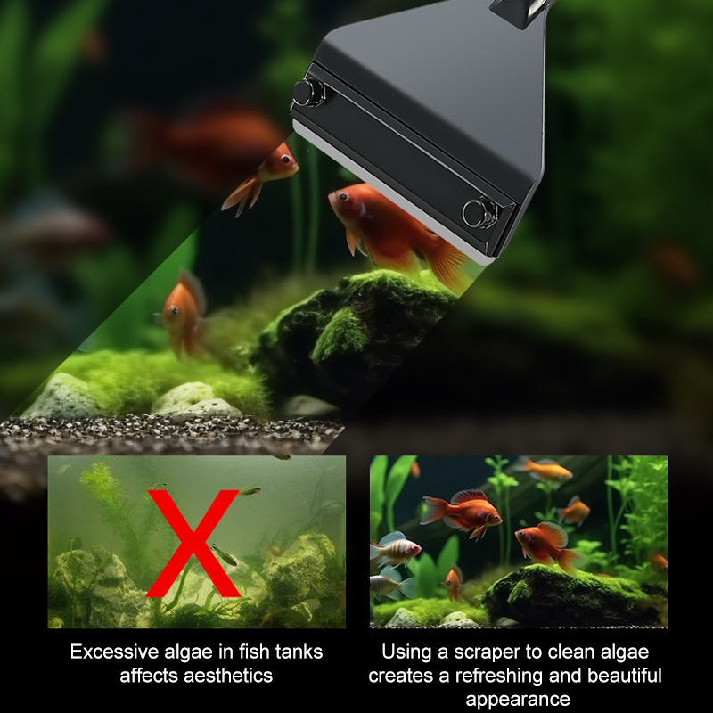 Аквариум для удаления водоросл – обзор и цена Planted Aquarium Algae Remover