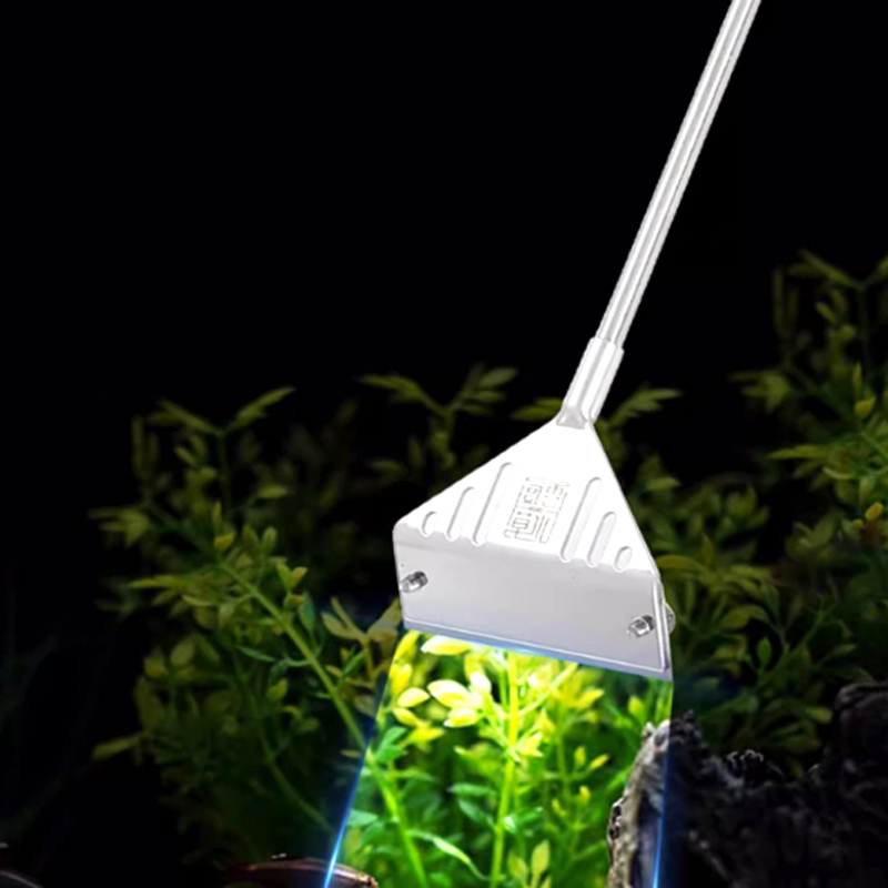 Аквариум для удаления водоросл – обзор и цена Planted Aquarium Algae Remover