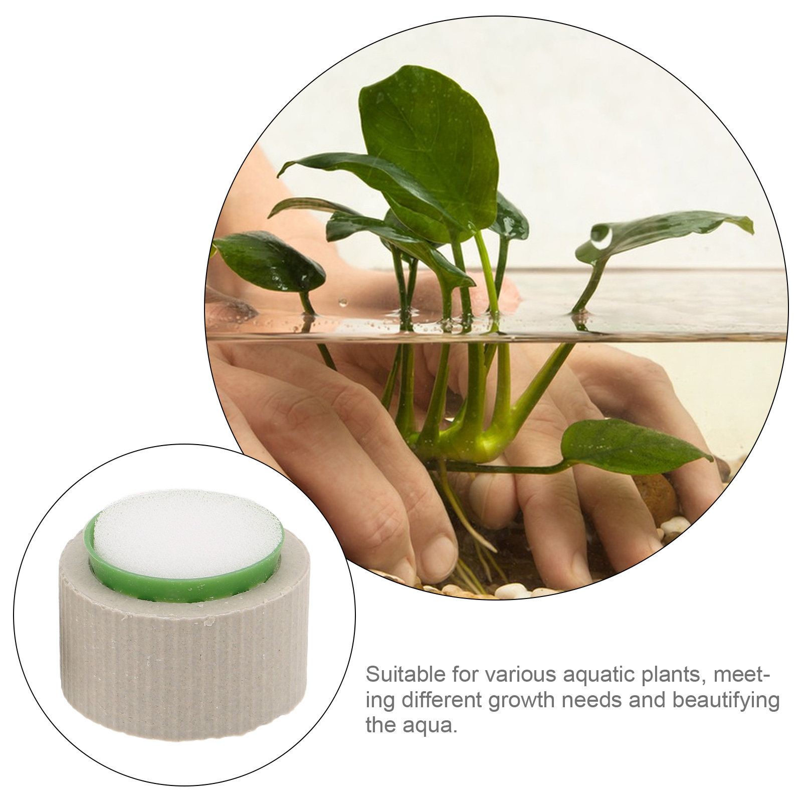 9 шт. премиум-кольцевых держат – обзор и цена Aquarium Plant Nutrients