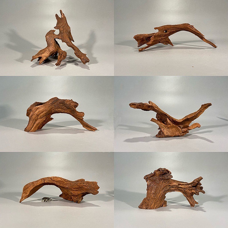 Натуральный корягий дерево, ак – обзор и цена Planted Aquarium With Driftwood