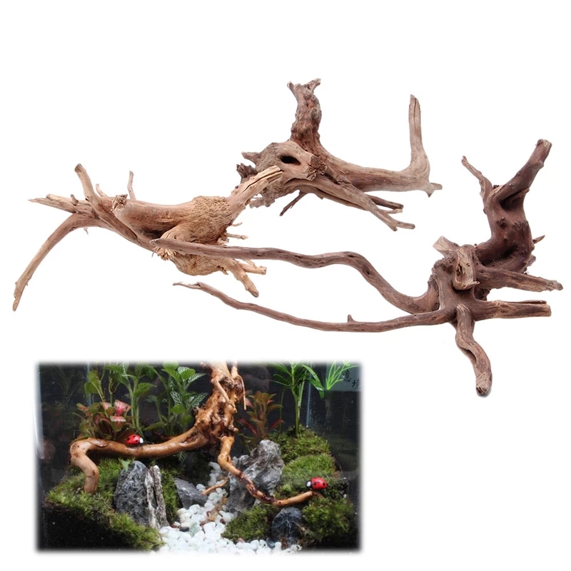 Декоративное украшение для акв – обзор и цена Planted Aquarium With Driftwood