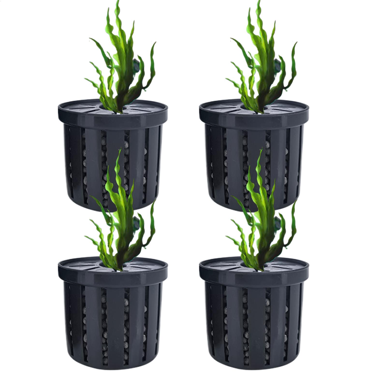 Набор из 4 подвесных держателе – обзор и цена Planted Aquarium Aquascape