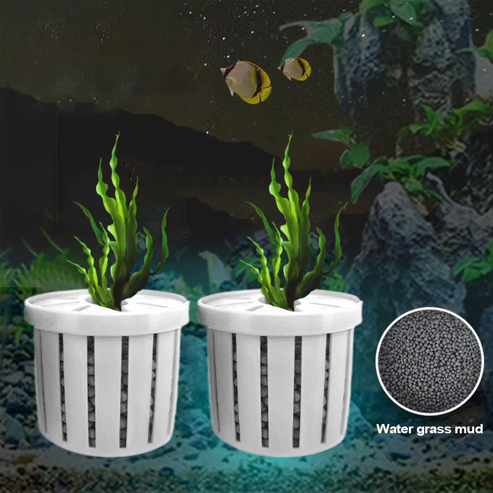 Набор из 4 подвесных держателе – обзор и цена Planted Aquarium Aquascape