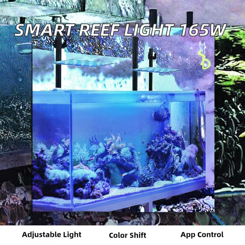 Светодиодный светильник для ак – обзор и цена Planted Aquarium Models