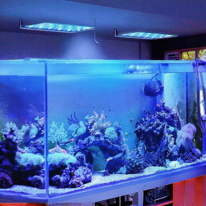 Светодиодный светильник для ак – обзор и цена Planted Aquarium Models