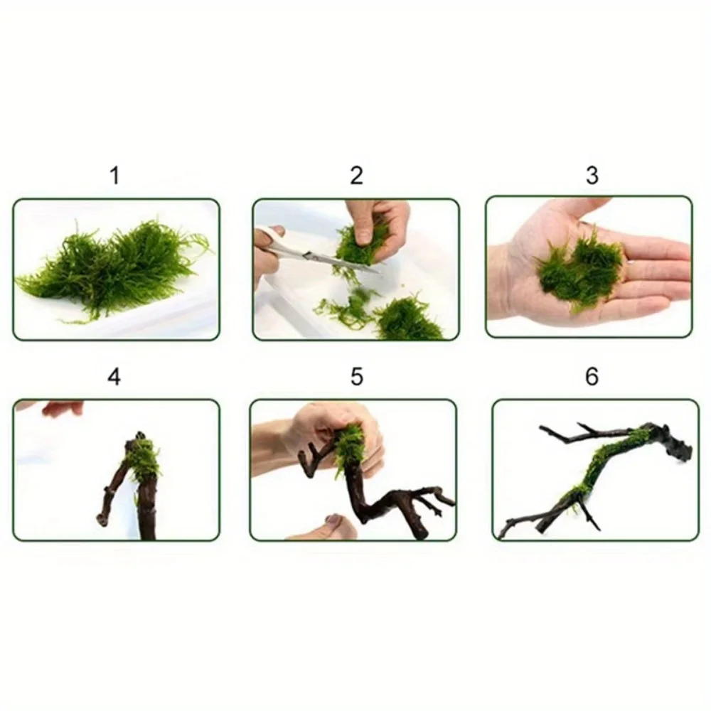 1 рулон DIY моховая линия, пер – обзор и цена Planted Aquarium With Driftwood