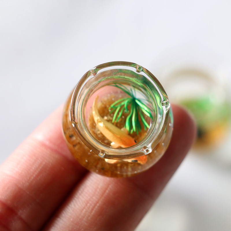 1 шт., масштаб 1:12, миниатюрн – обзор и цена Planted Aquarium Models