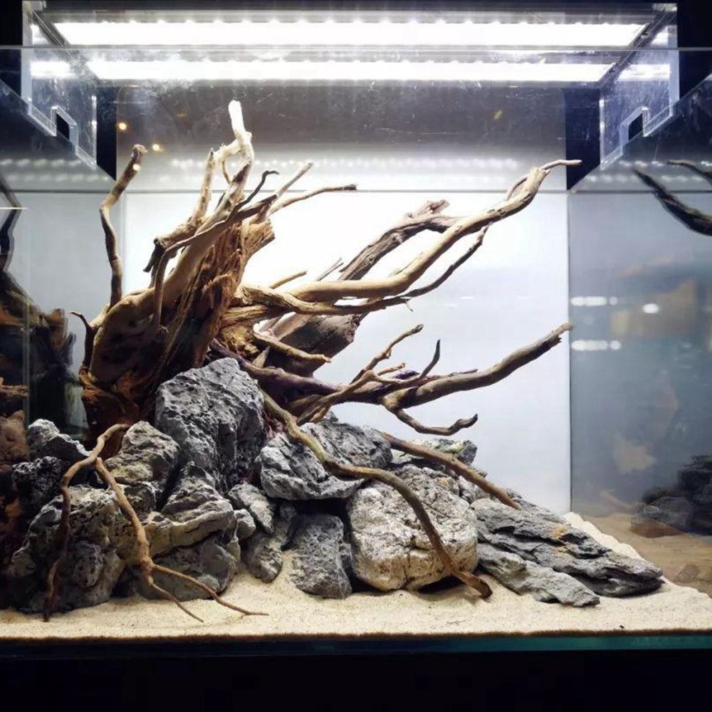 Деревянный декор для аквариума – обзор и цена Planted Aquarium With Driftwood