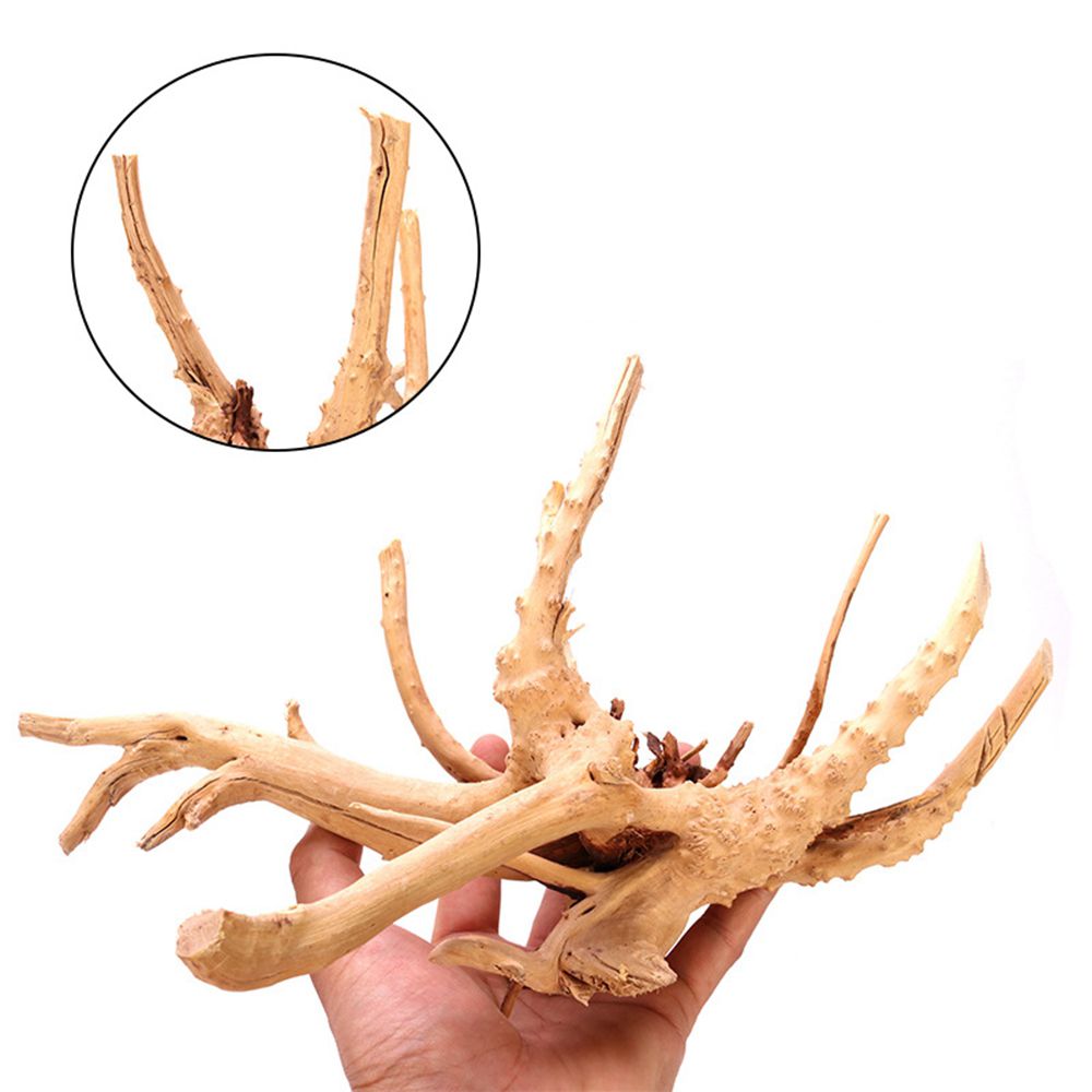 Деревянный декор для аквариума – обзор и цена Planted Aquarium With Driftwood
