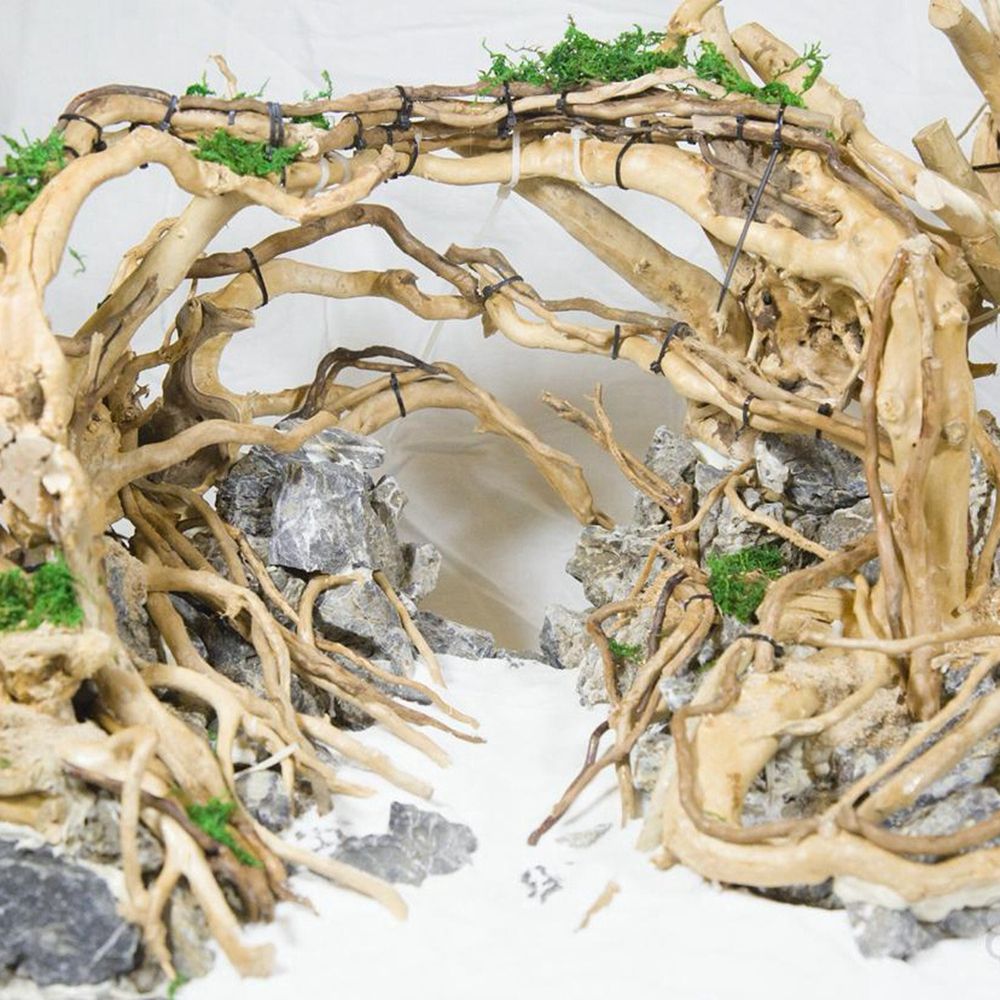 Деревянный декор для аквариума – обзор и цена Planted Aquarium With Driftwood