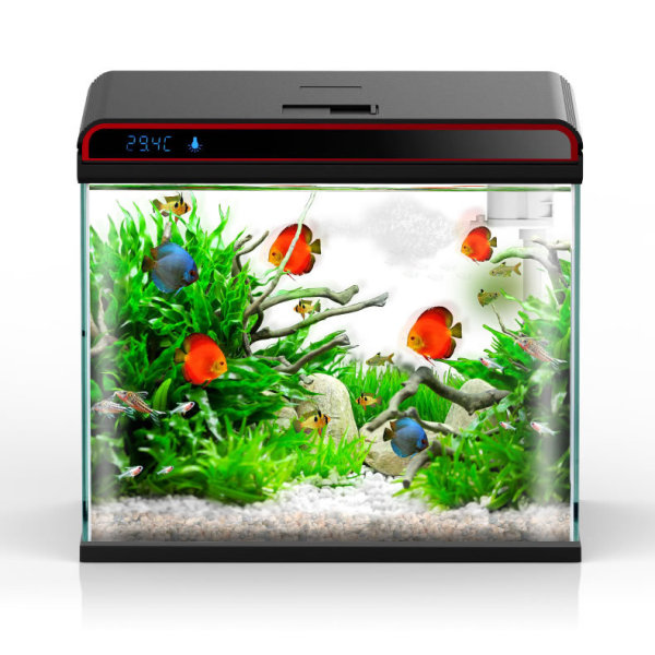 Кондиционер для аквариумной во – обзор и цена Planted Aquarium Algae Remover