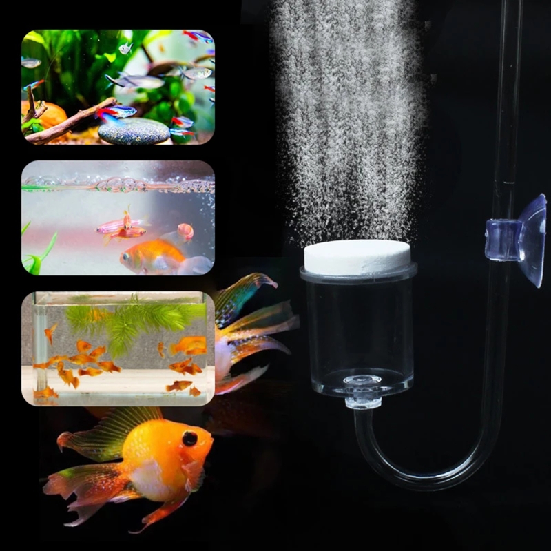 4 шт./набор, соленоидный регул – обзор и цена Planted Aquarium Aquascape